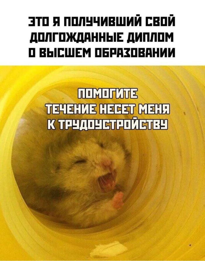 ������� ����� � �������� �� ���� (26 ����)