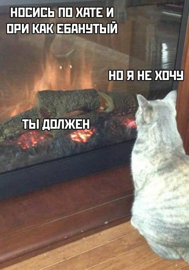 ������� �������� � ����� �� ���� (33 ����)