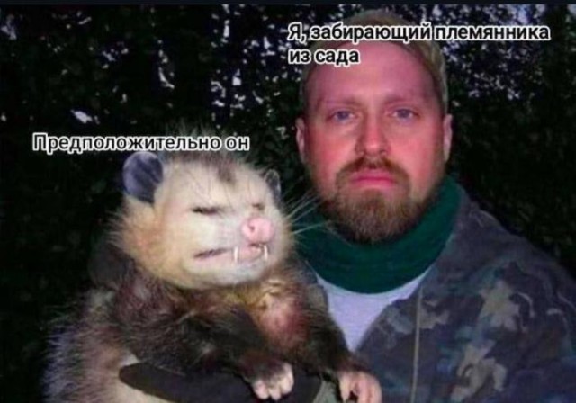 ������� �������� � ����� �� ���� (33 ����)