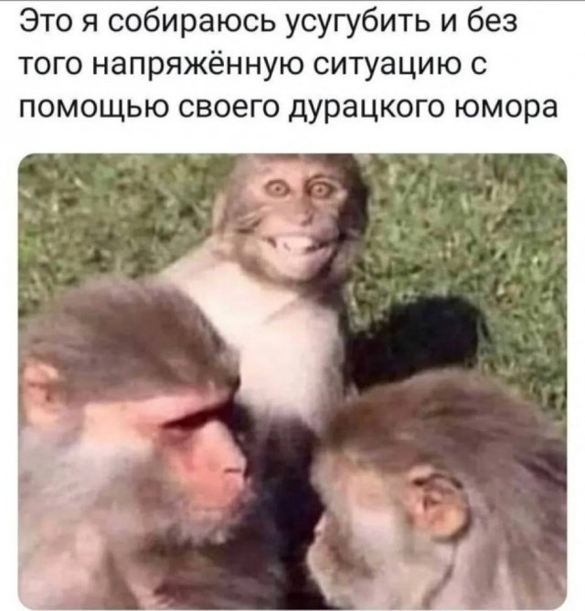 ������� �������� � ����� �� ���� (33 ����)