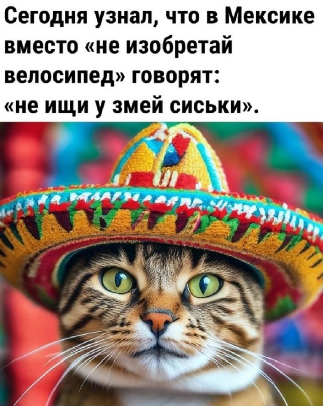 ������� �������� � ����� �� ���� (33 ����)