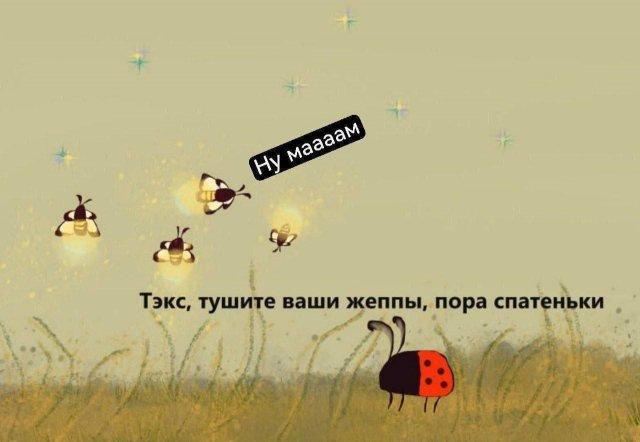 ������� �������� � ����� �� ���� (33 ����)