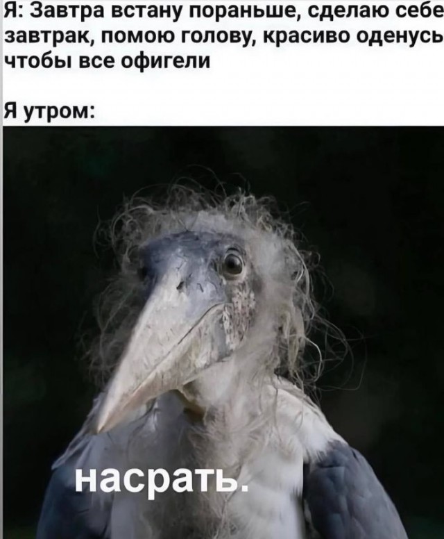 ������� �������� � ����� �� ���� (33 ����)