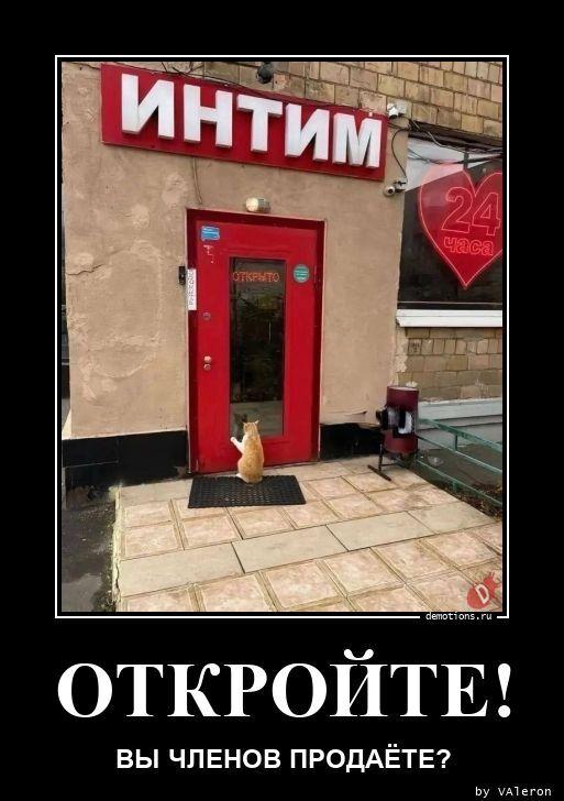 ������������ �������� (16 ����)