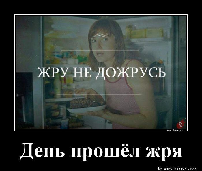 ������������ �������� (16 ����)