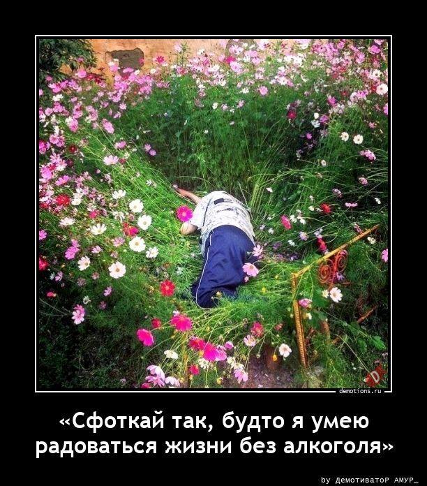 ������������ �������� (16 ����)