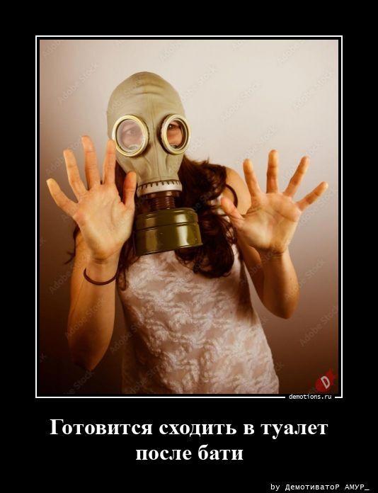 ������������ �������� (16 ����)