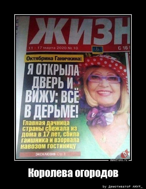 ������������ �������� (16 ����)