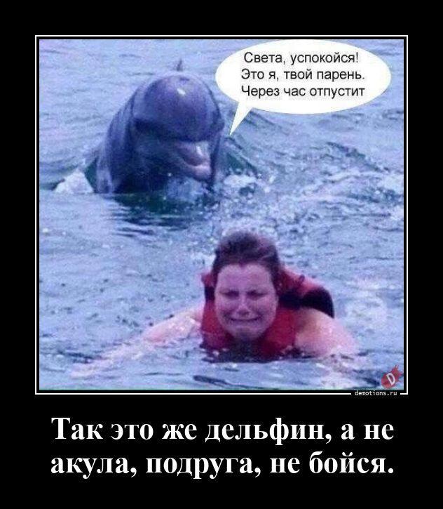 ������������ �������� (16 ����)