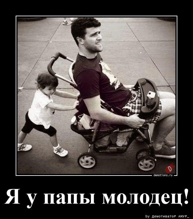 ������������ �������� (16 ����)