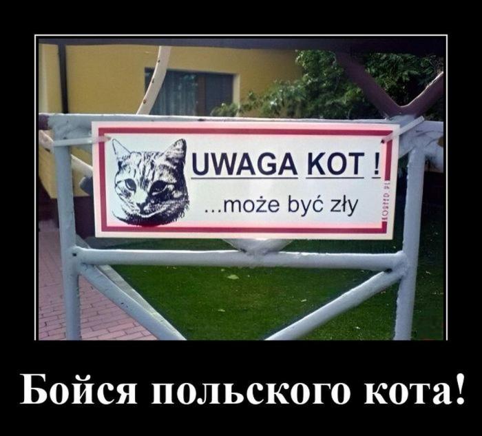 ������������ �������� (16 ����)