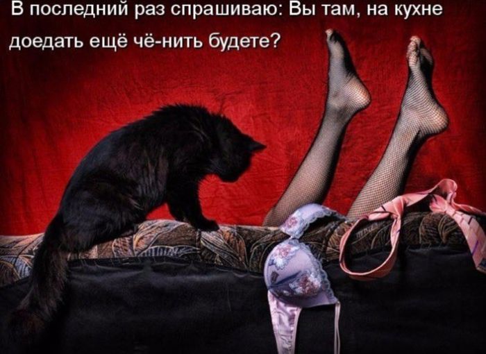 ������� ����� � �������� �� ���� (27 ����)