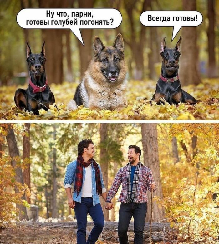 ������� ����� � �������� �� ���� (27 ����)