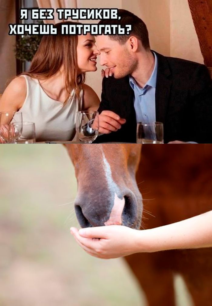 ������� ����� � �������� �� ���� (27 ����)