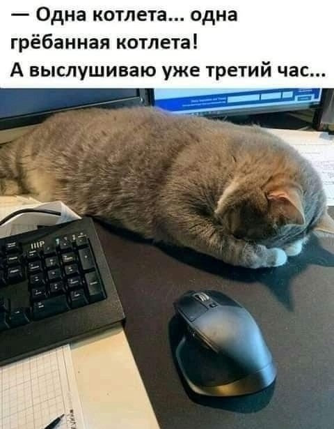 ������� ����� � �������� �� ���� (27 ����)