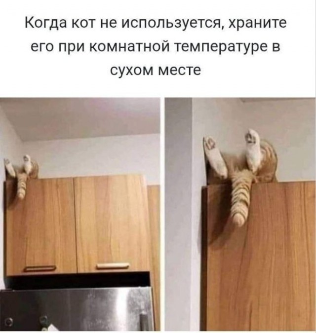 ������� ����� � �������� �� ���� (27 ����)