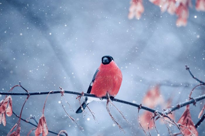 ���������! �������� ����� �������� � ����� ��� ���������� (32 ����)