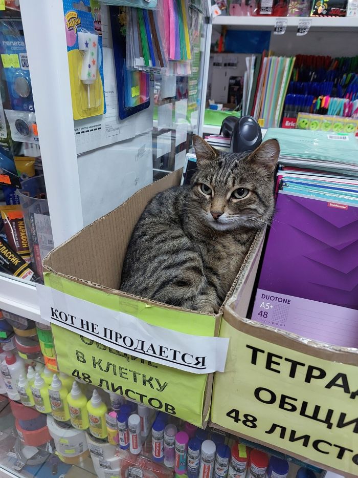 ���������! �������� ����� �������� � ����� ��� ���������� (32 ����)