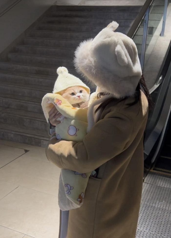 ���������! �������� ����� �������� � ����� ��� ���������� (32 ����)