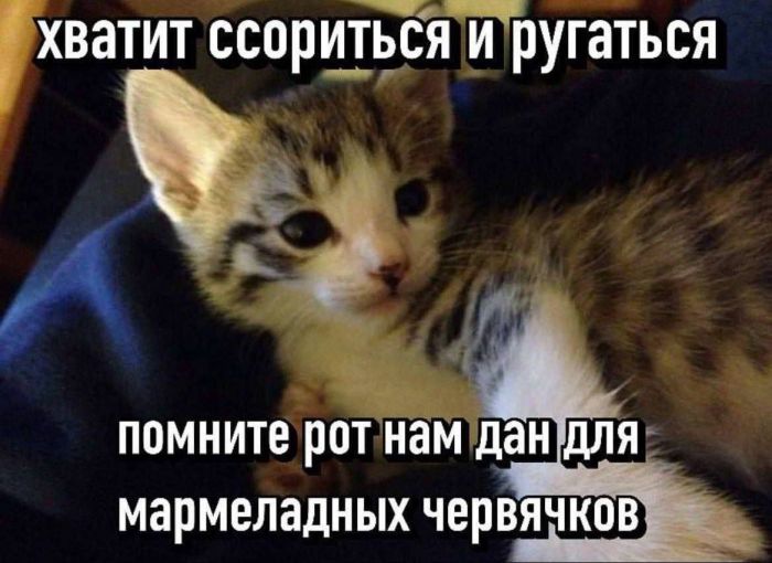 ���������! �������� ����� �������� � ����� ��� ���������� (32 ����)