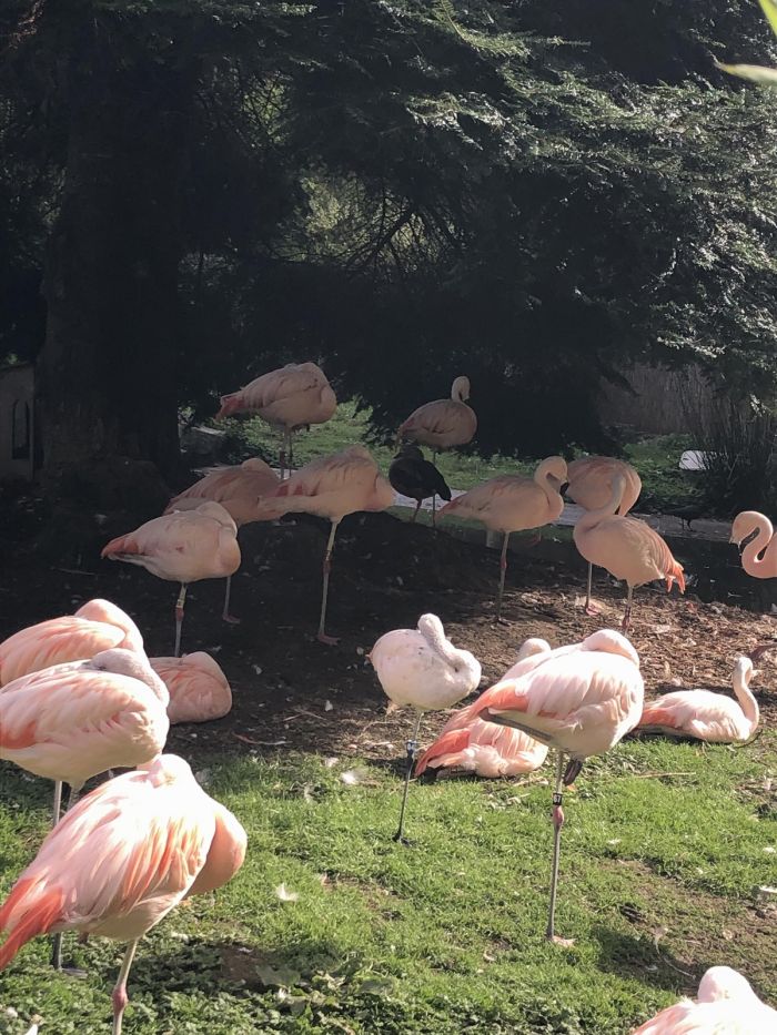 ���������! �������� ����� �������� � ����� ��� ���������� (32 ����)