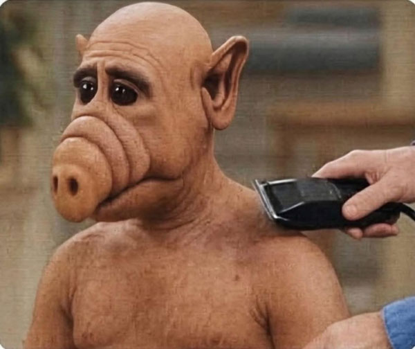 ���������! �������� ����� �������� � ����� ��� ���������� (32 ����)