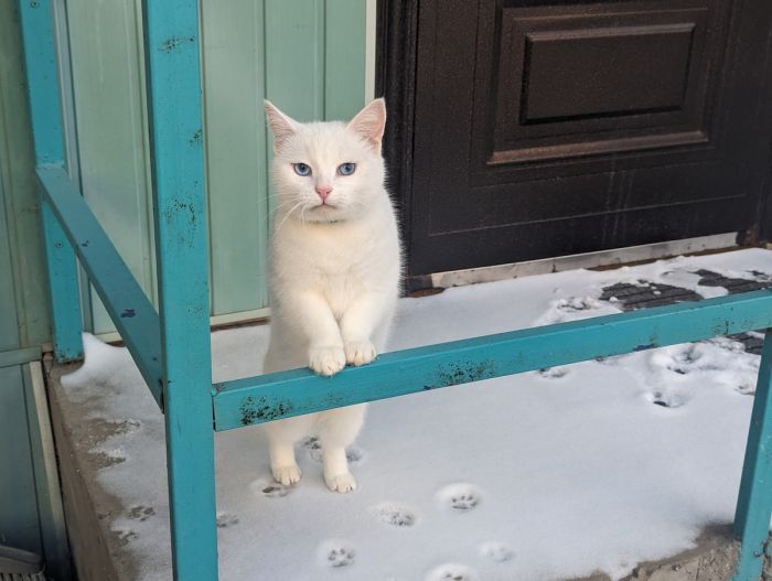 ���������! �������� ����� �������� � ����� ��� ���������� (32 ����)