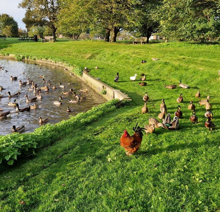 ���������! �������� ����� �������� � ����� ��� ���������� (32 ����)