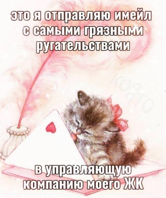 ������ ������� � ���� ��� ���������� (25 ����)