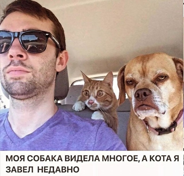 ������ ������� � ���� ��� ���������� (25 ����)