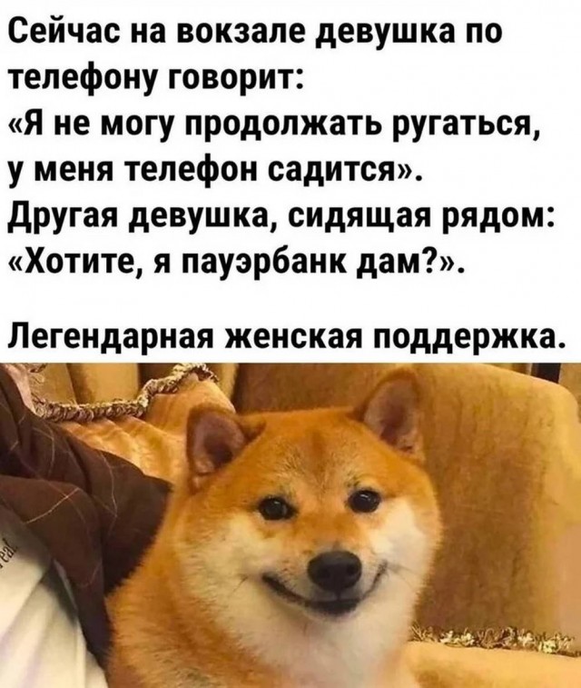 ���� � ������� ��� ���������� (32 ����)