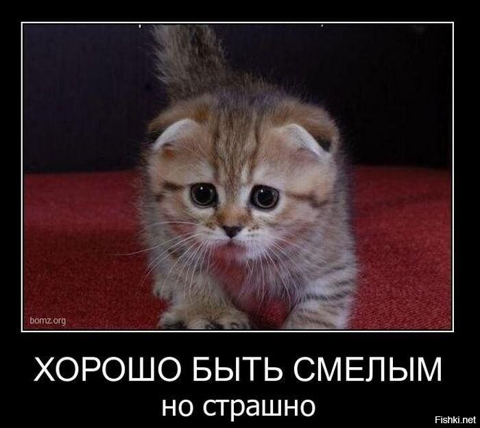 ������������ ����� (20 ����)