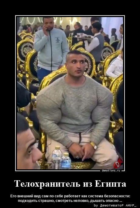 ������������ ����� (20 ����)