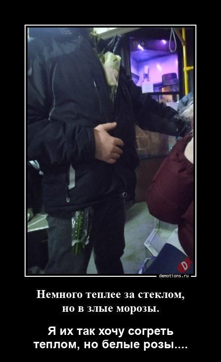 ������������ ����� (20 ����)