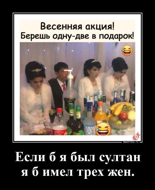 ������������ ����� (20 ����)