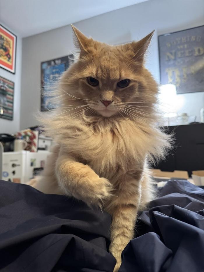 ������� �������� ��� ���������� (25 ����)