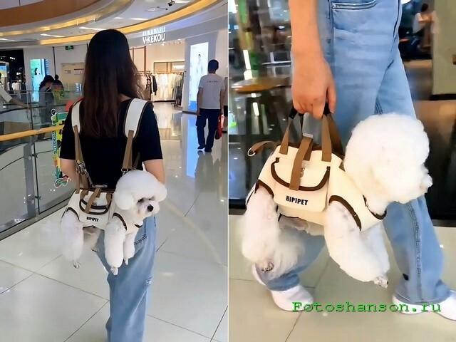 ������� �������� ��� ���������� (25 ����)