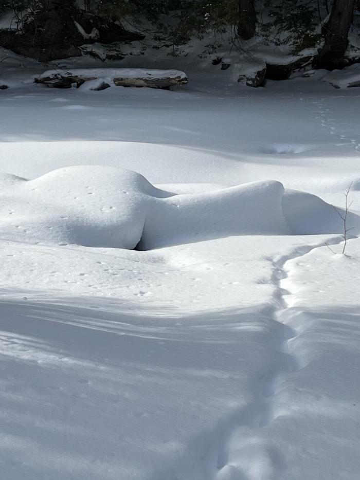 ������� �������� ��� ���������� (25 ����)