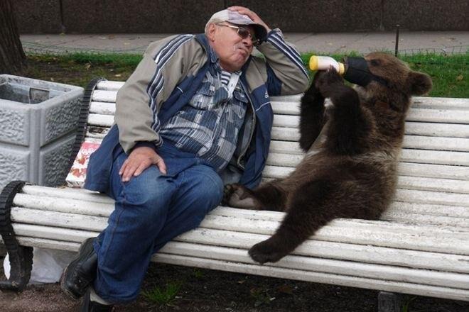 ������� �������� ��� ���������� (25 ����)