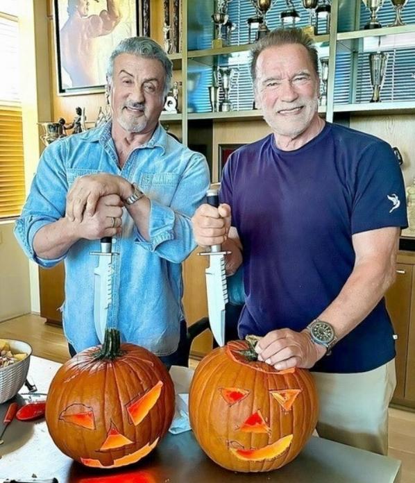 ������� �������� ��� ���������� (25 ����)