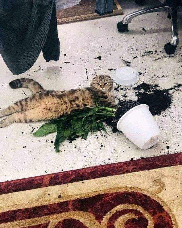 ���� � ������� ��� ���������� (30 ����)