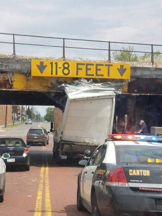 ���� � ������� ��� ���������� (30 ����)