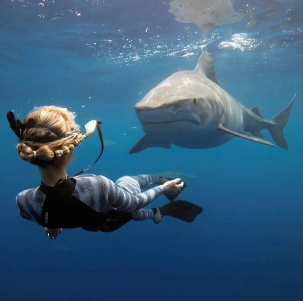 ���� � ������� ��� ���������� (30 ����)