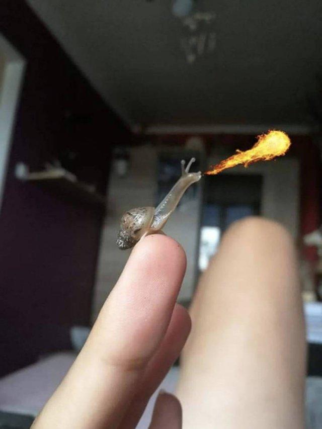 ���� � ������� ��� ���������� (30 ����)