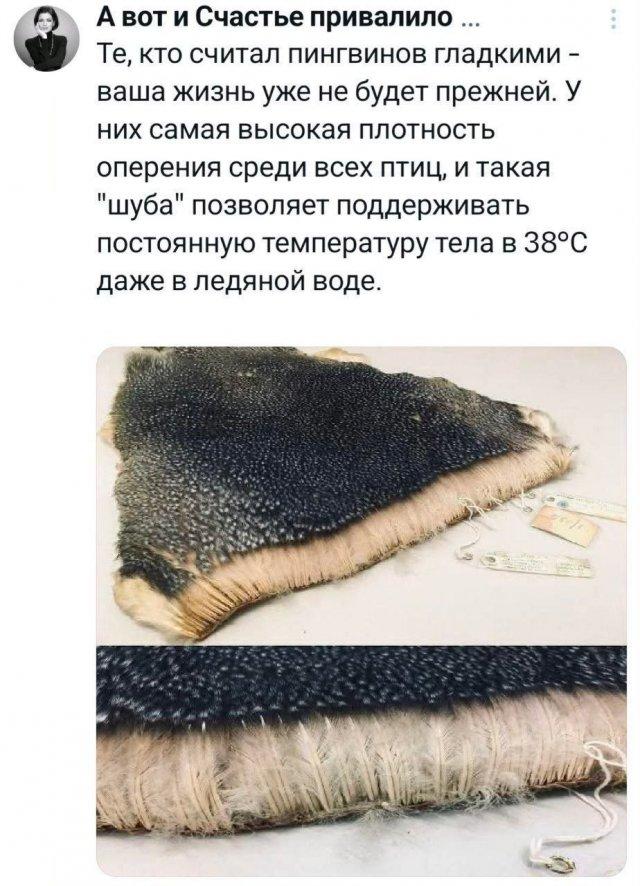 ������� �� �������� (15 ����)