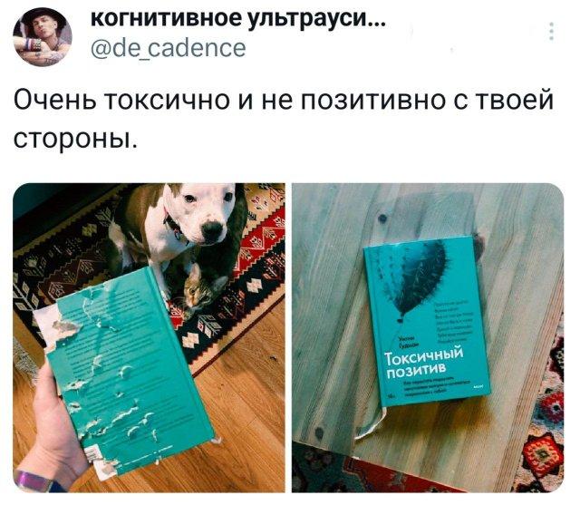 ������� �� �������� (15 ����)