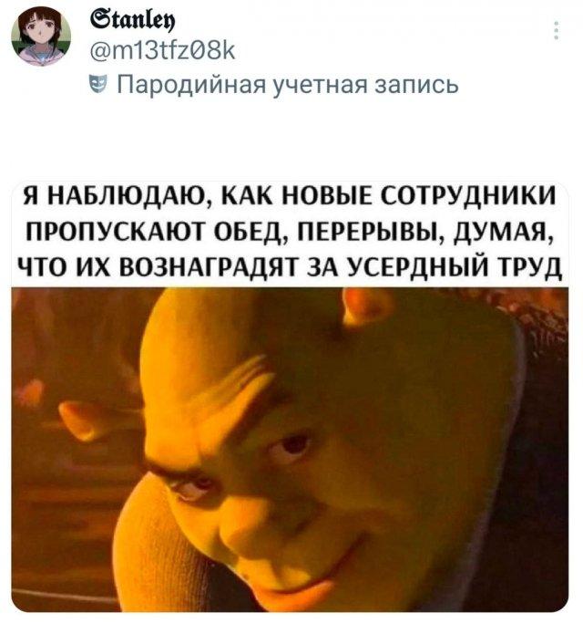 ������� �� �������� (15 ����)