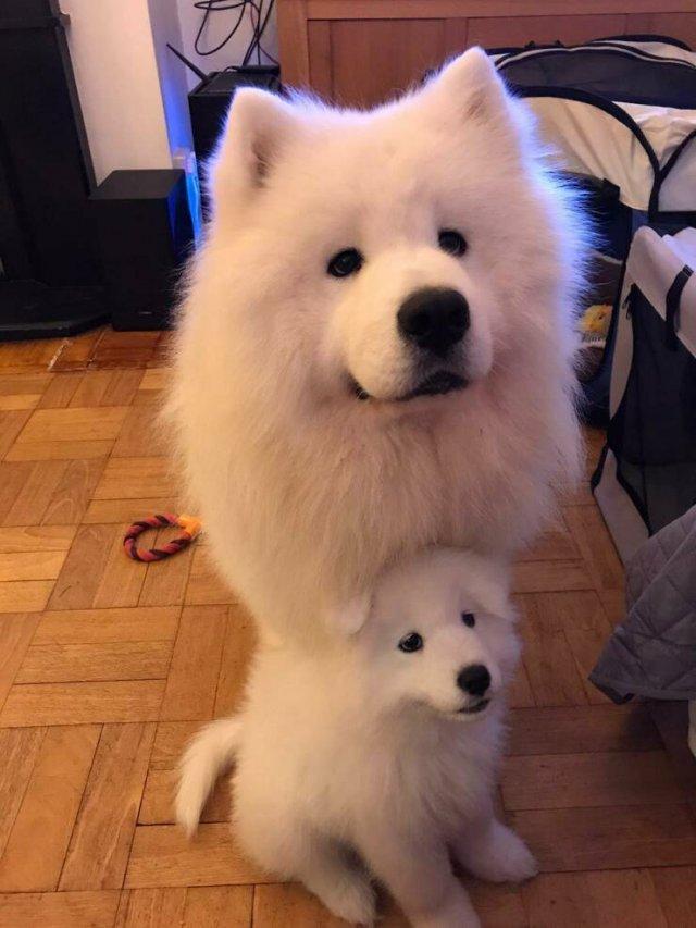 ������� ����� � �������� ��� ���������� (30 ����)