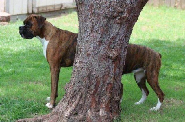 ������� ����� � �������� ��� ���������� (30 ����)