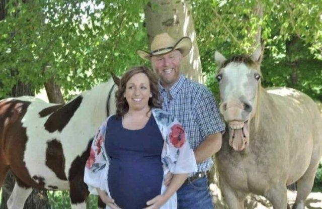 ������� ����� � �������� ��� ���������� (30 ����)